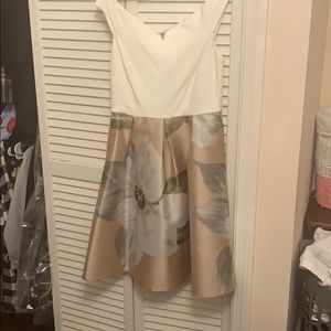 Ted baker fit and flare dress